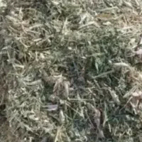 فروش2تن کاه لوبیا