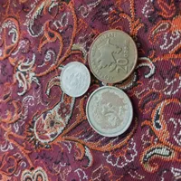 کلکسیون