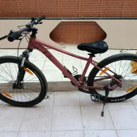 دوچرخه جاینت زنانه