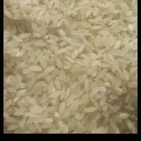 برنج کامفیروزی