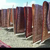 مبل‌شوی‌و..قالیشوی‌لطیف‌