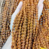 ریسه و تسبیح رود راکشا طبیعی کلی و تکی