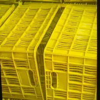 جعبه ۲۰کیلویی تازه|ظروف نگهدارنده، پلاستیکی، یک‌بارمصرف|ارومیه, |دیوار