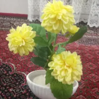گل های درحد نو|گل مصنوعی|مراغه, |دیوار