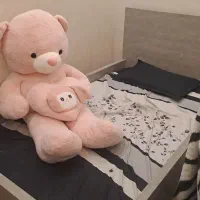 تخت تک نفره با تشک درحدنو