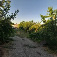 باغ|فروش زمین و ملک کلنگی|مشهد, توس فردوسی|دیوار