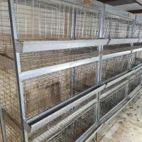 قفس مرغ تخمگذار|لوازم جانبی حیوانات|زواره, |دیوار