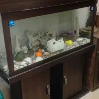 آکواریوم با وسایل