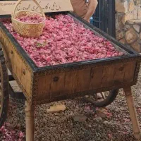 مسافرت.و تور ۱روزه