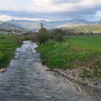 کار در مرغداری