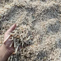 تفاله چغندر دونم