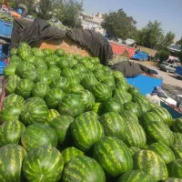 باربری هندوانه تریلی چادر لبه جفت تک خاور