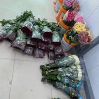 پخش عمده رز هلندی|گل و گیاه طبیعی|شیراز, باغ تخت|دیوار