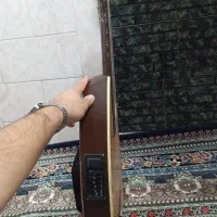 عود الکترواکوستیک (دوکاره حرفه ای)|سازهای سنتی|بندرعباس, |دیوار