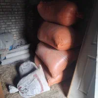 محمد جعفر ی