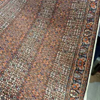 زرونیم بیجاراصل تکاب(فرش خیام)