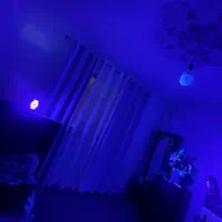 چراغ بلک لایت|ریسه و چراغ تزئینی|گرگان, |دیوار