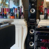 اسپیکر دوقلو