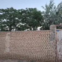 ملک-و-زمین-کلنگی-ملکش