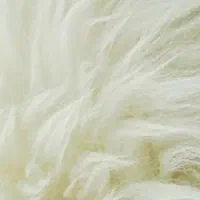 پشم گوسفند تمیز وشسته شده