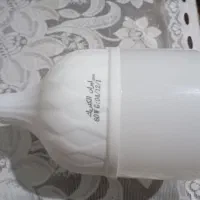 دوتالامپ ۶۰وات کم مصرف تاریخ هم داره