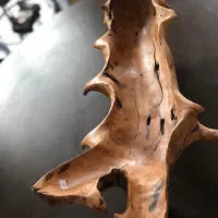 اردور خوری ظرف|ظروف سرو و پذیرایی|تهران, تهرانپارس غربی|دیوار