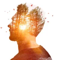 آموزشگاه کامپیوتر، زبان و ریاضی