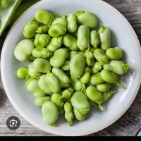باقالی تازه چین