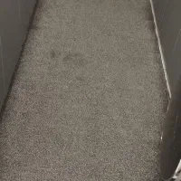 پالاز موکت