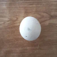 فروش سنگ اسیاب اصل تست خانگی انجام شود