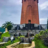 روبروی استخر،عرصه و اعیان،۳دهنه مغازه