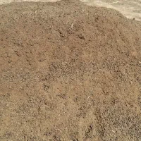 کود گوسفندای
