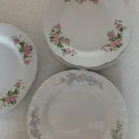 بشقاب  گل سرخی