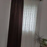 پرده سالن پذیرایی|پرده، رانر، رومیزی|ساری, |دیوار