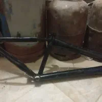 تنه خشک سالم