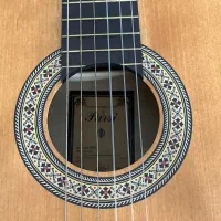 گیتار پارسی