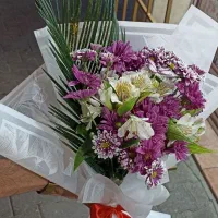 بلیط کنسرت آرش مسیح