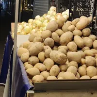 استخدام میوه فروشی