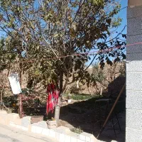 فروش دو واحد ویلایی شهرک شهرستانک|فروش خانه و ویلا|دشتابی, |دیوار