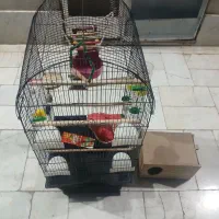 ۳ قفس پرنده تمیز و نو|لوازم جانبی حیوانات|کرمان, |دیوار