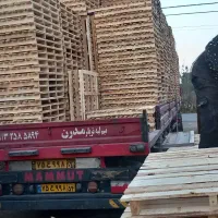 منشی خانم جهت کار درکارگاه پالت سازی