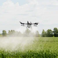 سم پاشی با پهپاد زیر نظر کارشناس کشاورزی