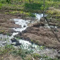 200مترزمین-توی-روستای-سیزون
