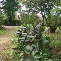 کارگر اتباع با مدارک قانونی ومعتبر با جای خواب