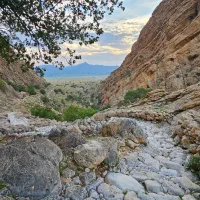 سفر و تور خصوصی