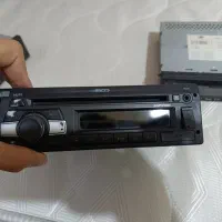 ظبط