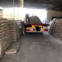 عاملیت سیمان صوفیان