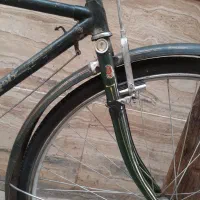 دوچرخه فونیکس|دوچرخه، اسکیت، اسکوتر|قم, چهار مردان|دیوار