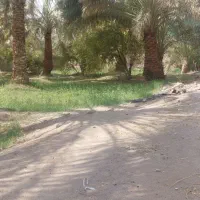 فروش باغ