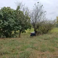 فروش زمین باغی کشاورزی|فروش زمین و ملک کلنگی|رضوانشهر, |دیوار